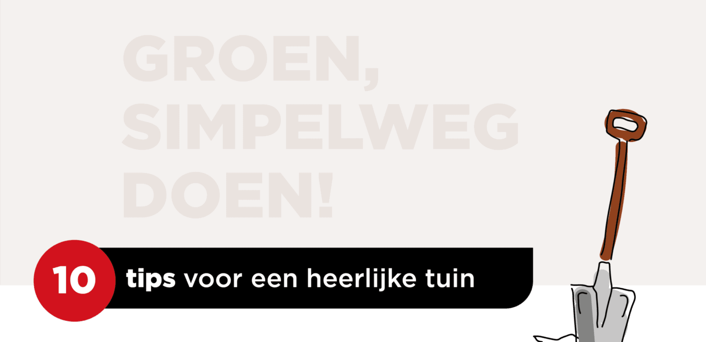 Vastgoedcommunicatie, Van Wijnen - Conceptontwikkeling